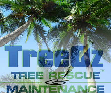 Tree Oz Tree Rescue